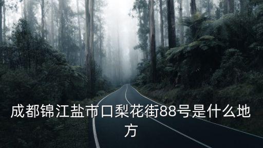 成都錦江鹽市口梨花街88號是什么地方