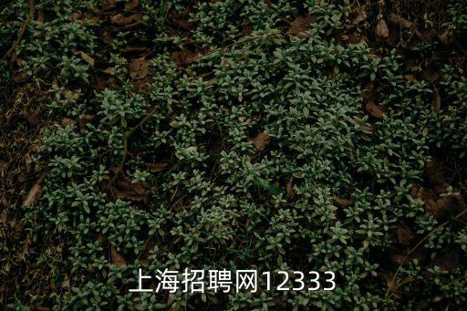 上海招聘網12333
