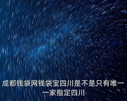 成都市惠能科技有限公司，成都錢袋網錢袋寶四川是不是只有唯一一家指定四川