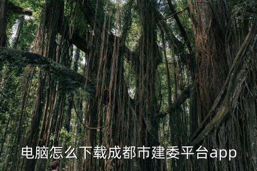 電腦怎么下載成都市建委平臺app