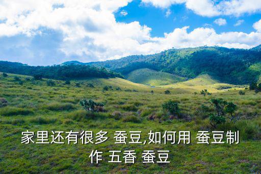 家里還有很多 蠶豆,如何用 蠶豆制作 五香 蠶豆
