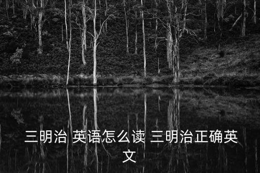 三明治英語怎么說