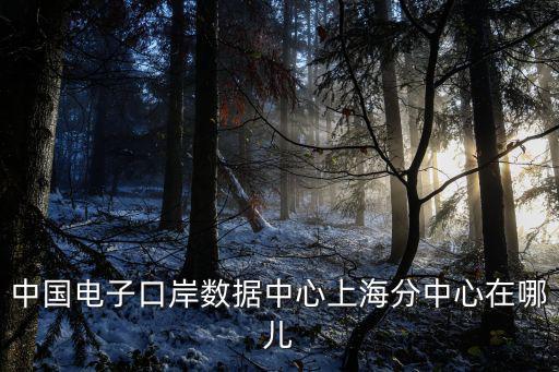 中國電子口岸數據中心上海分中心在哪兒
