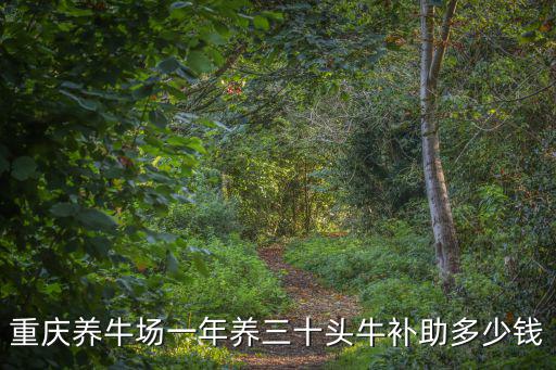重慶養牛場一年養三十頭牛補助多少錢