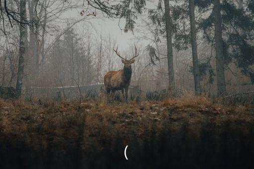 (