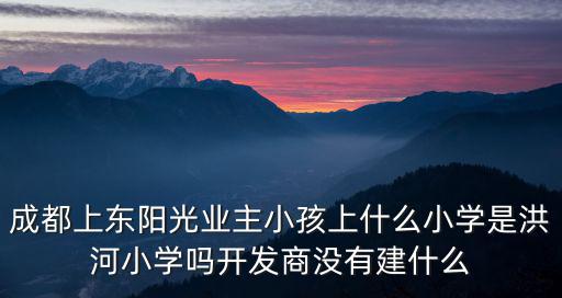 成都上東陽(yáng)光業(yè)主小孩上什么小學(xué)是洪河小學(xué)嗎開(kāi)發(fā)商沒(méi)有建什么