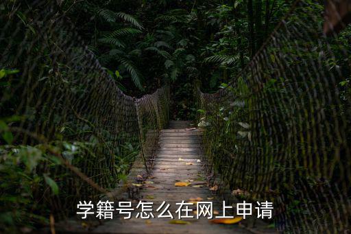 學籍號怎么在網上申請