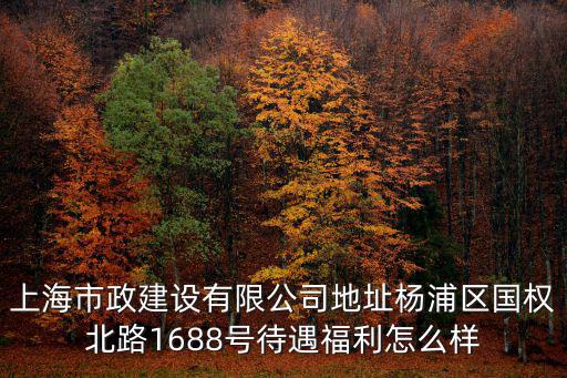 上海市政工程建設發展有限公司，上海市政工程管理咨詢有限公司 是家什么樣的公司待遇怎么樣