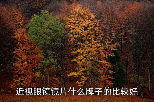 眼鏡片品牌，眼鏡片什么品牌的好