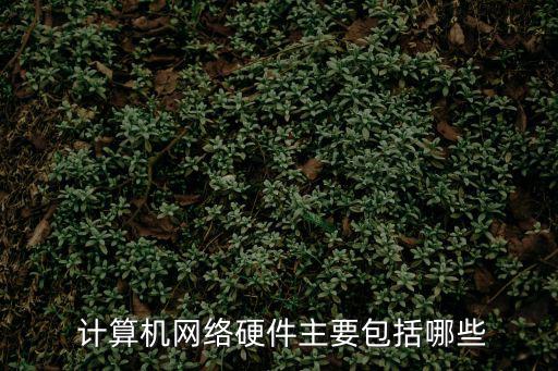  計算機網絡硬件主要包括哪些