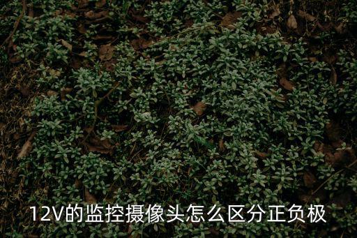 12V的監控攝像頭怎么區分正負極
