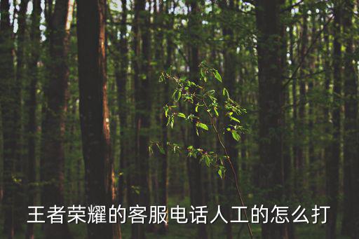 王者榮耀的客服電話人工的怎么打