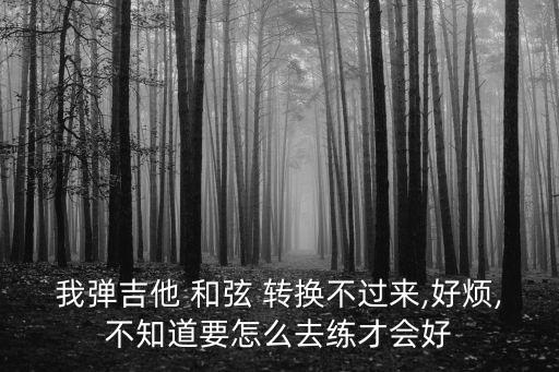 我彈吉他 和弦 轉換不過來,好煩,不知道要怎么去練才會好