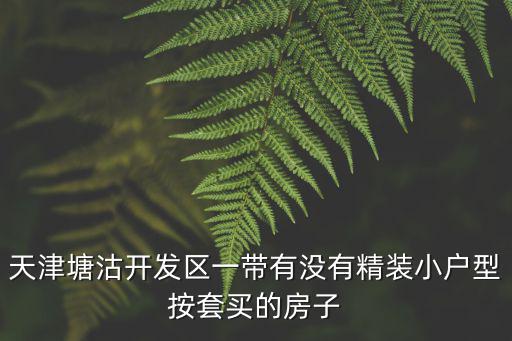 天津塘沽開發區一帶有沒有精裝小戶型按套買的房子