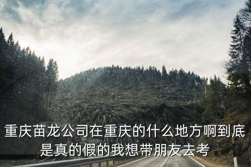 重慶苗龍公司在重慶的什么地方啊到底是真的假的我想帶朋友去考