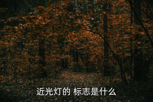 近光燈的 標(biāo)志是什么