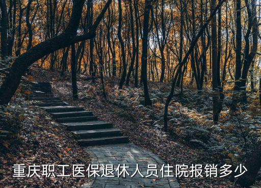 重慶職工醫保退休人員住院報銷多少