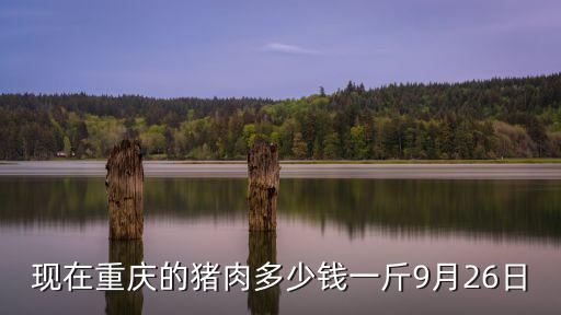 現在重慶的豬肉多少錢一斤9月26日