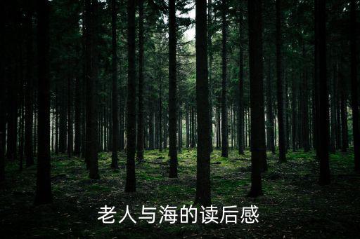 老人與海的讀后感