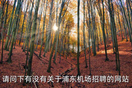 請問下有沒有關于浦東機場招聘的網站