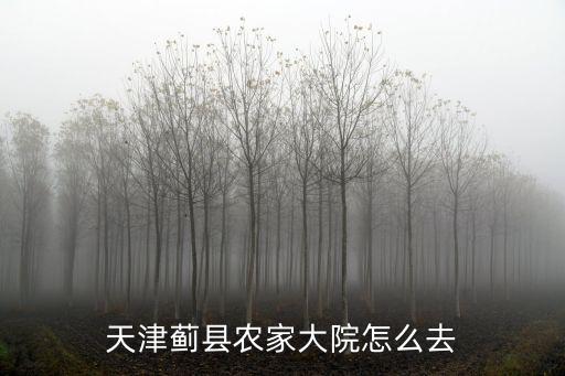天津薊縣農(nóng)家大院怎么去