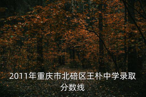 重慶市王樸學校分數線，2010王樸中考落取分數是多少