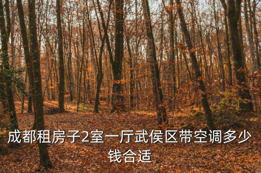 成都租房子2室一廳武侯區帶空調多少錢合適