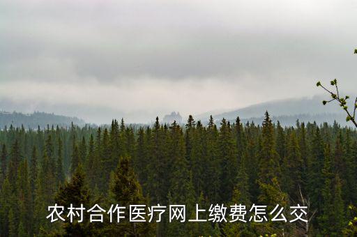 農(nóng)村合作醫(yī)療網(wǎng)上繳費(fèi)怎么交