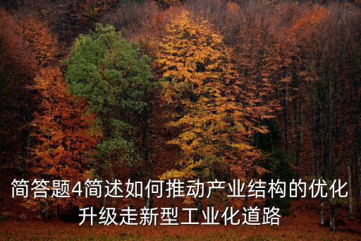 簡答題4簡述如何推動產業結構的優化升級走新型工業化道路
