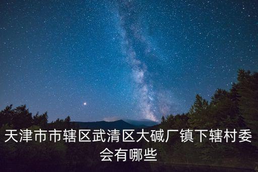 天津市市轄區武清區大堿廠鎮下轄村委會有哪些