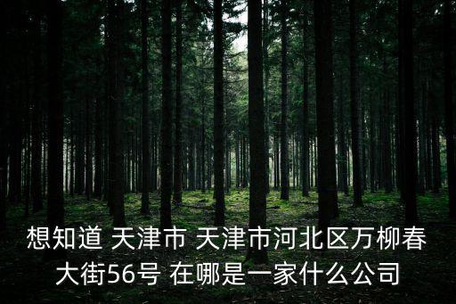 天津市海納置業，想知道 天津市 天津市河北區萬柳春大街56號 在哪是一家什么公司