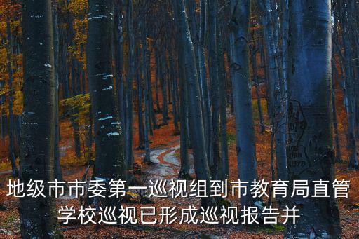 重慶市高院巡視反饋，地級市市委第一巡視組到市教育局直管學校巡視已形成巡視報告并