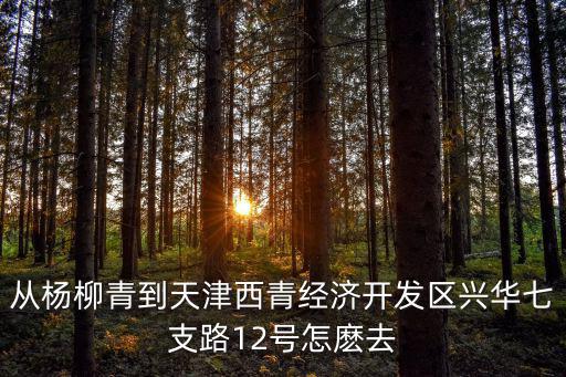從楊柳青到天津西青經(jīng)濟開發(fā)區(qū)興華七支路12號怎麼去