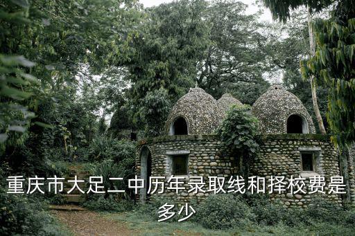重慶市大足二中學公眾號，重慶大足二中今年高考分數線是多少
