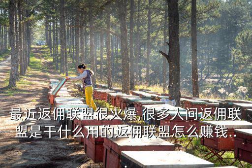 領克特,傭金返利聯盟給乙方一大筆推廣費小賺一筆