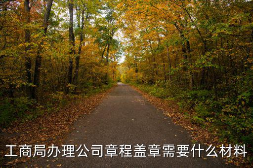 工商局辦理公司章程蓋章需要什么材料