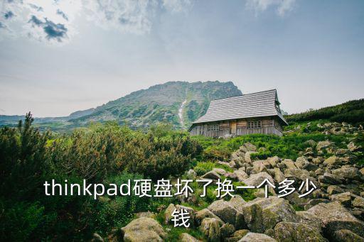 thinkpad硬盤壞了換一個多少錢