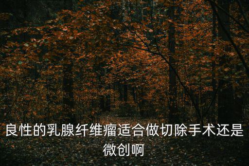 良性的乳腺纖維瘤適合做切除手術(shù)還是微創(chuàng)啊