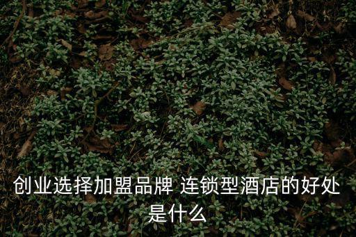 品牌加盟連鎖,加盟品牌連鎖酒店可獲得標準化產品和成熟供應鏈