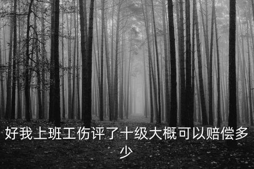 工傷10級賠償了135000，十級工傷大概得到的賠償是多少