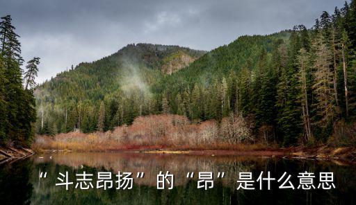 斗志昂揚的意思,我從未見過人民如此興高采烈斗志昂揚