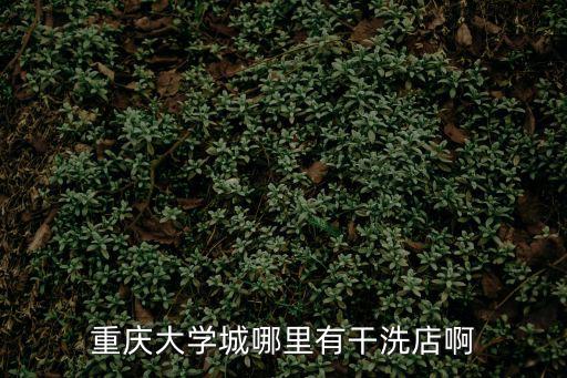 重慶大學城哪里有干洗店啊