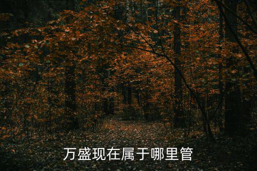萬盛現在屬于哪里管
