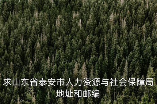 求山東省泰安市人力資源與社會保障局地址和郵編