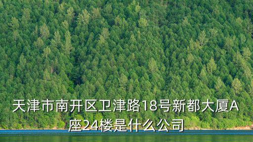天津市南開區衛津路18號新都大廈A座24樓是什么公司