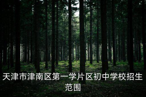 天津市津南區第一學片區初中學校招生范圍
