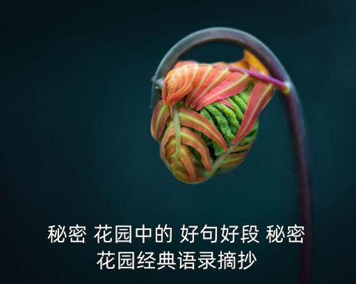 秘密花園好詞好句,秘密花園第二集