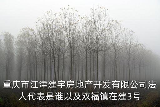 重慶市江津建宇房地產開發有限公司法人代表是誰以及雙福鎮在建3號