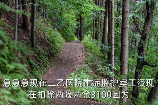 成都市二醫院重癥監護室好嗎，成都市第二人民醫院