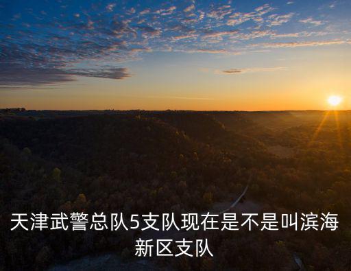 天津武警總隊5支隊現在是不是叫濱海新區支隊